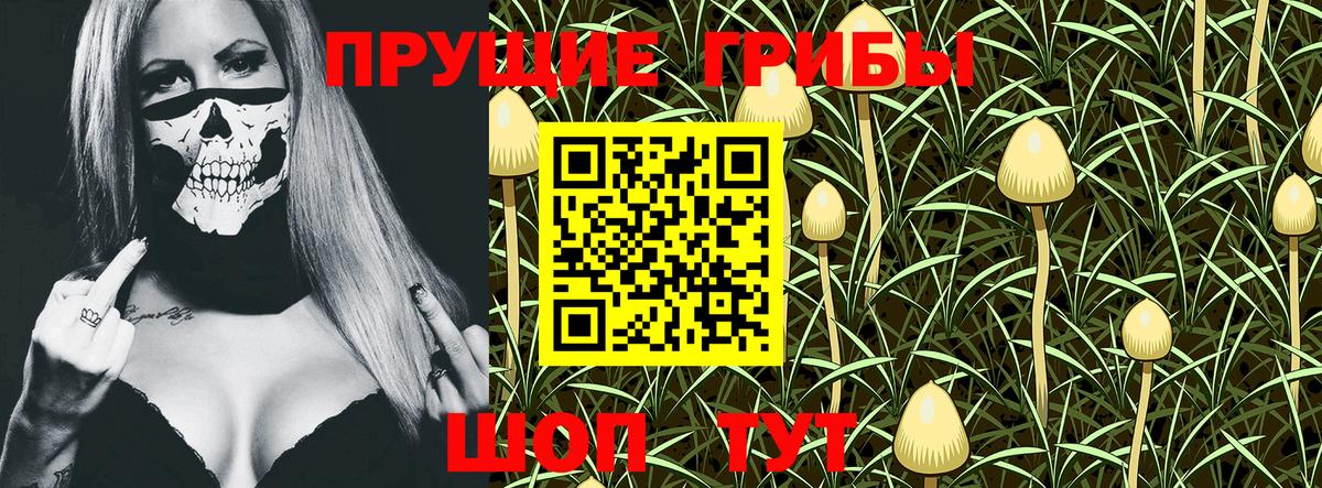 Псилоцибиновые грибы MAGIC MUSHROOMS  Вход с VPN  Фурманов  купить закладку  Галлюциногенные грибы Magic Shrooms 